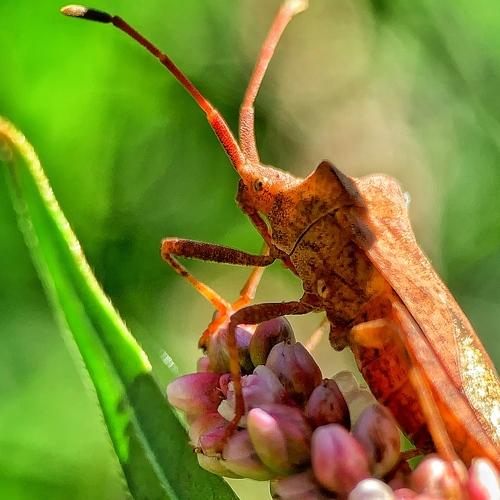 Фотография #3367082