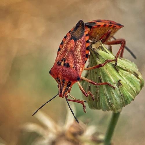 Фотография #3367085