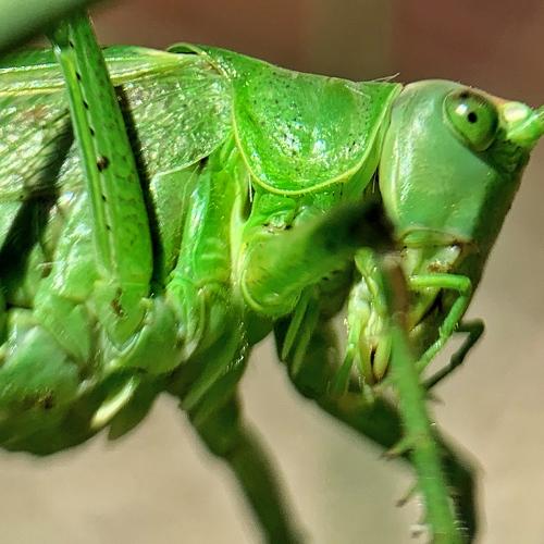 Фотография #3367092