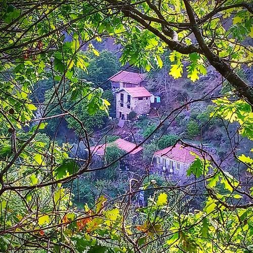 A look into the Valley
