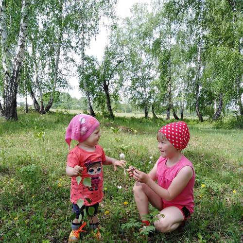 Photo #3368109