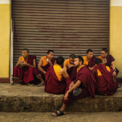 tibetan colony in india