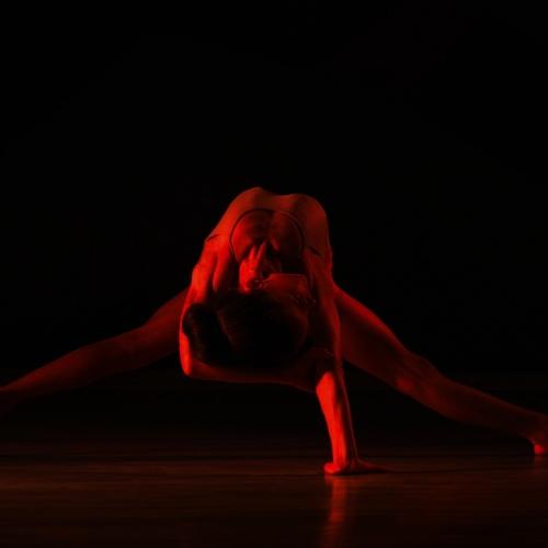 Photo #3368923