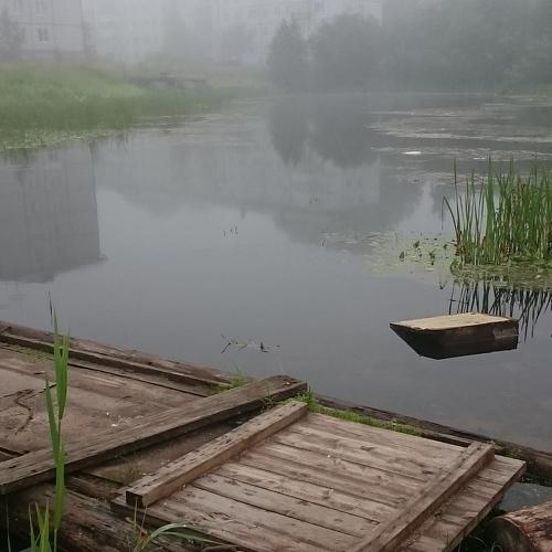 В тумане