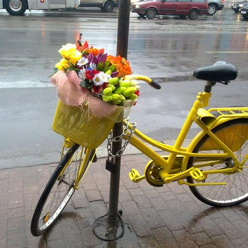 Весеннее утро