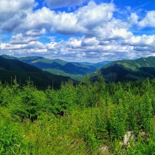 Карпати