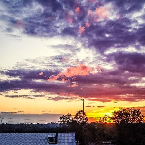 Photo #3372899