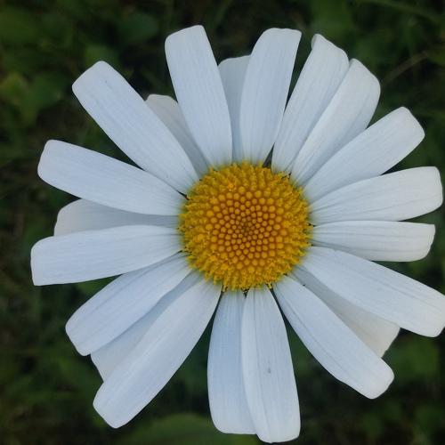 Photo #3372918