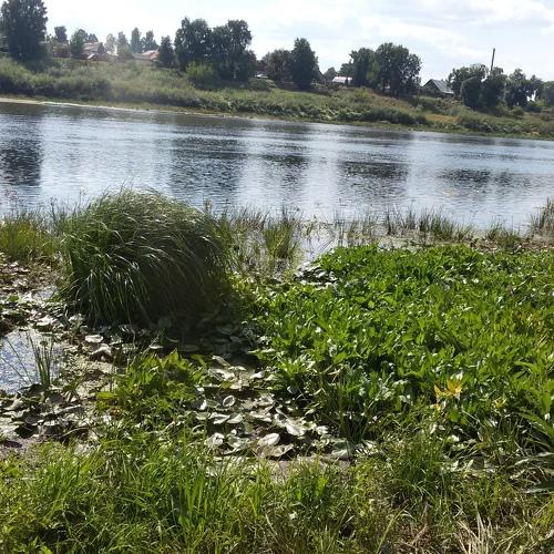 Photo #3372920