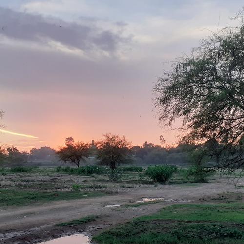 Nature paints its beauty