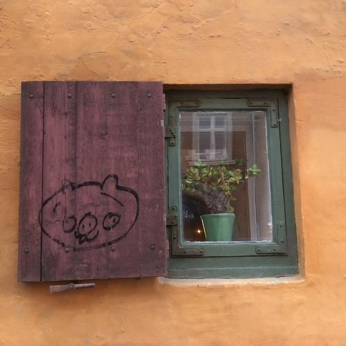 Window