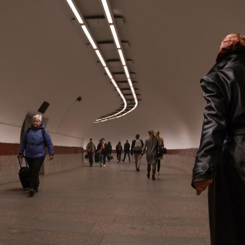 Photo #3375668
