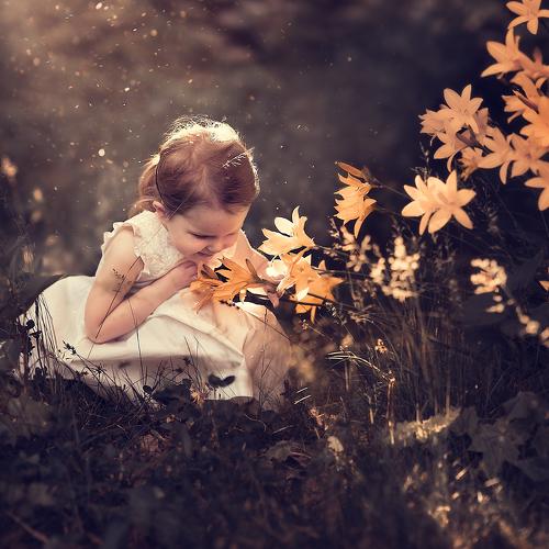 Sunlight