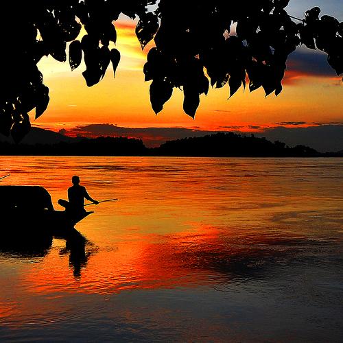 Hues of Nature