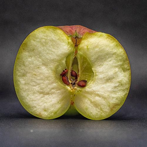 Photo #3375848