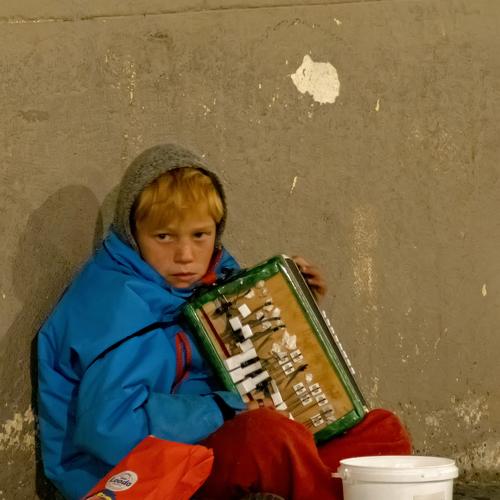 THE MUSICIAN