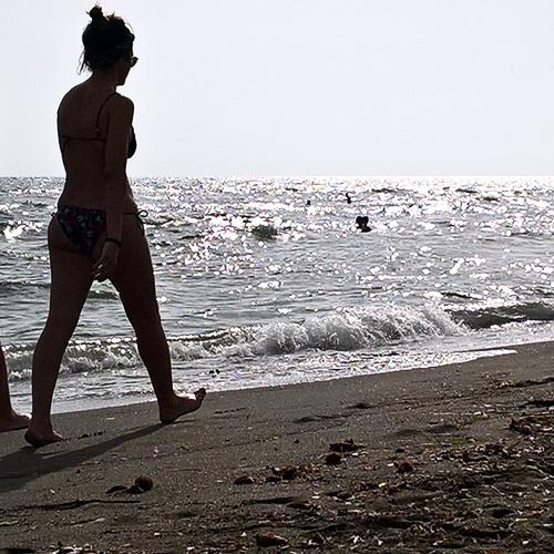 Photo #3376808