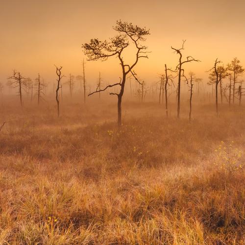 Photo #3377097
