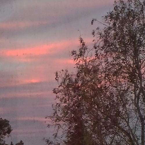 Photo #3378808