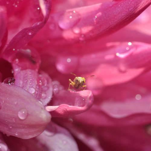 Photo #3379279