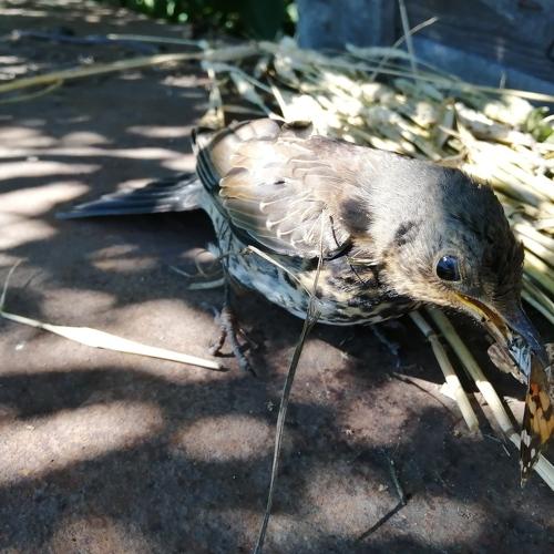 Photo #3379622