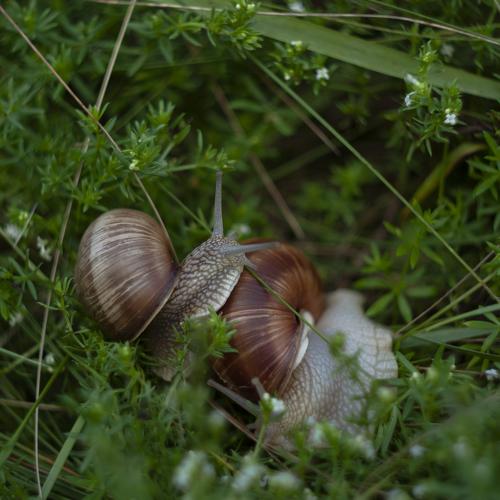 Photo #3380172