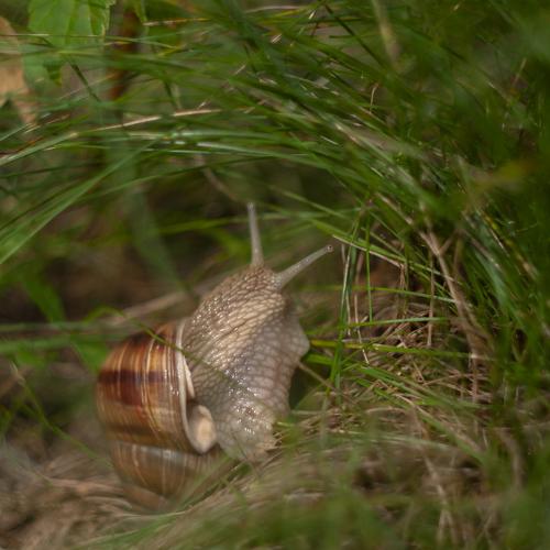 Photo #3380174