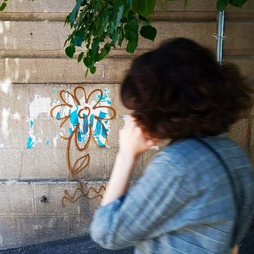 Flowers of the city