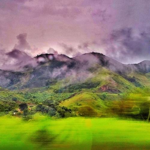 Purple mountains