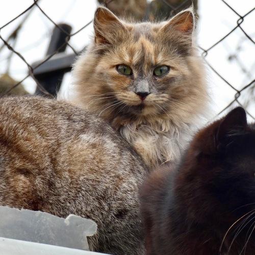 Photo #3381357