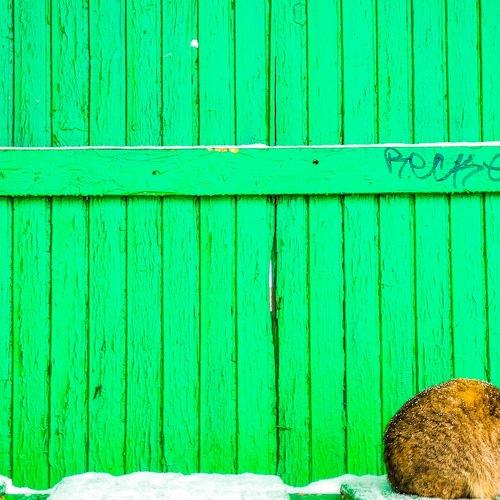 Photo #3381369