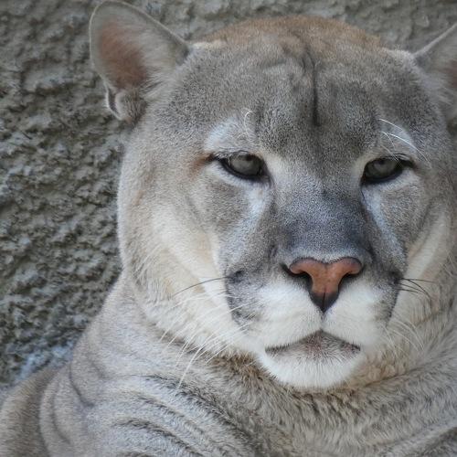 Photo #3381397