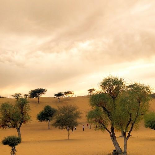 Sunset in desert