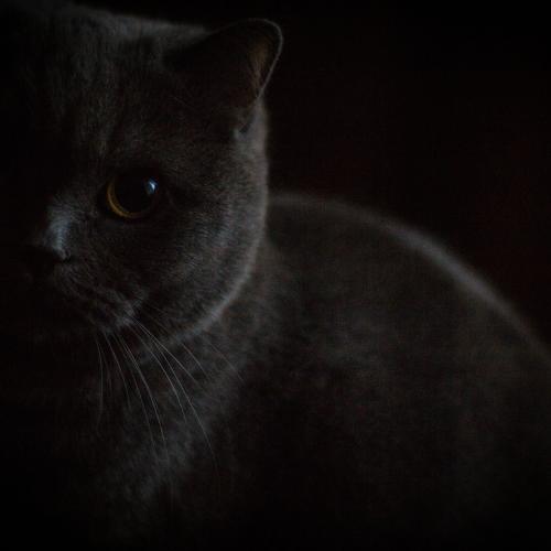 Photo #3382175