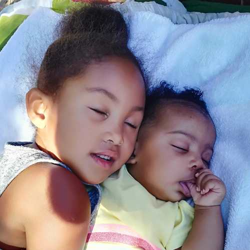 Photo #3382291