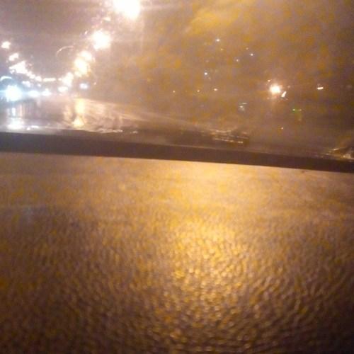 Photo #3383421