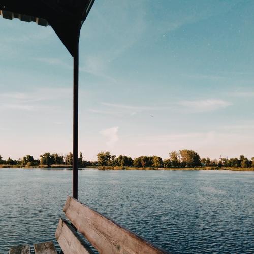 Photo #3385779