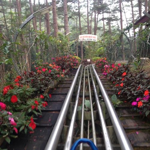 RAIL