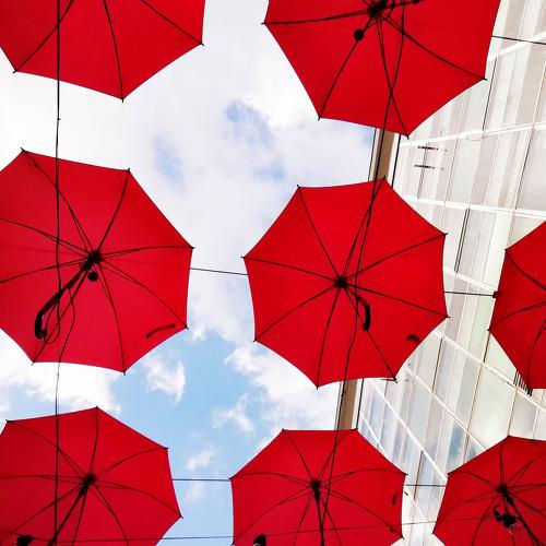 Umbrellas Belgrade