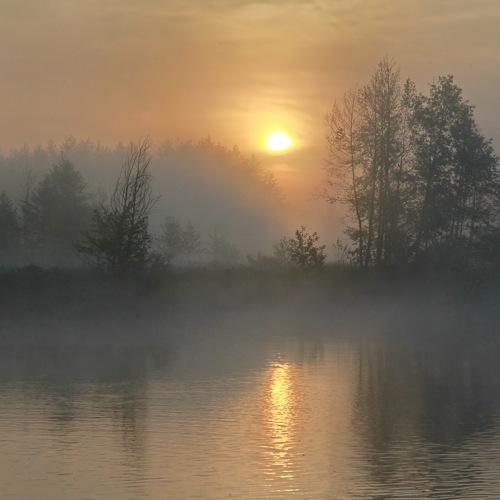 Утро в Седневе