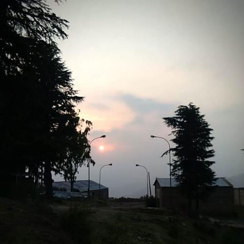 Sunset behind the trees