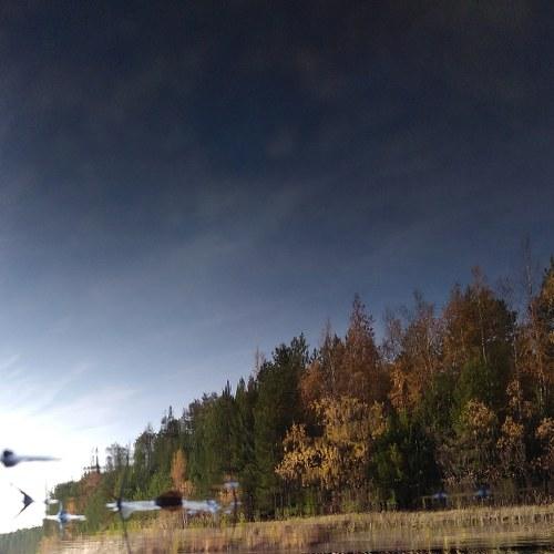 Покой