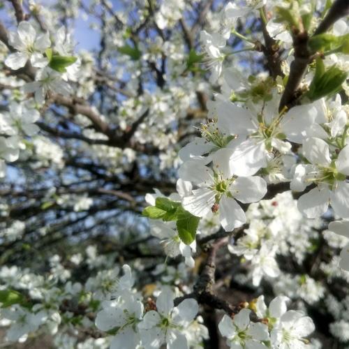 Photo #3388788