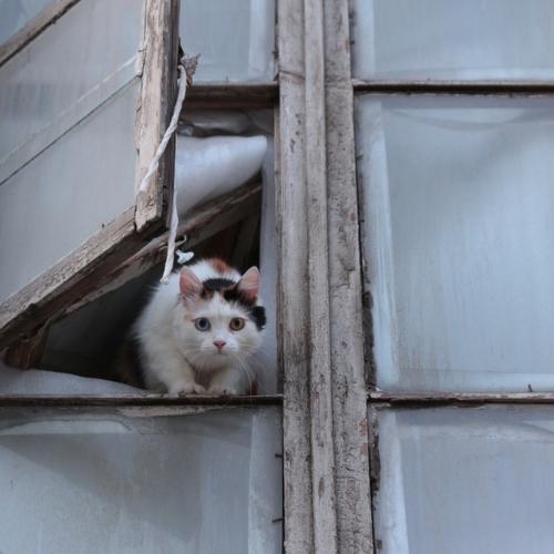 Photo #3389428