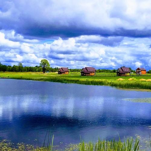 Photo #3389686