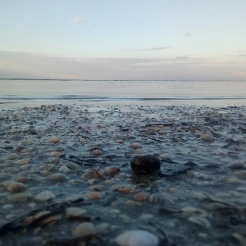 Photo #3390366