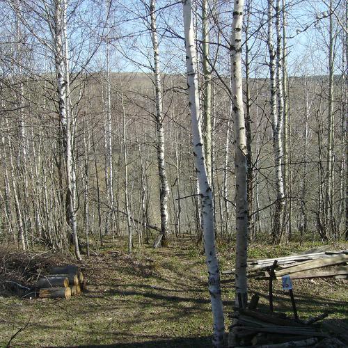 Photo #3392489