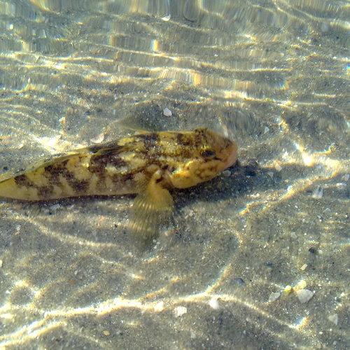 Photo #3392502