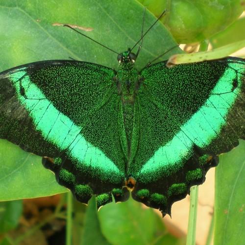 Photo #3392541
