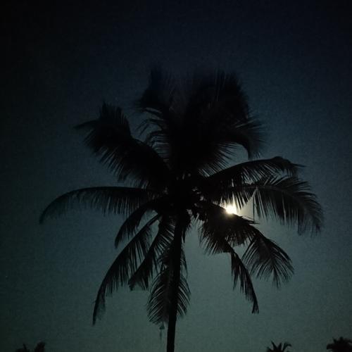 goa